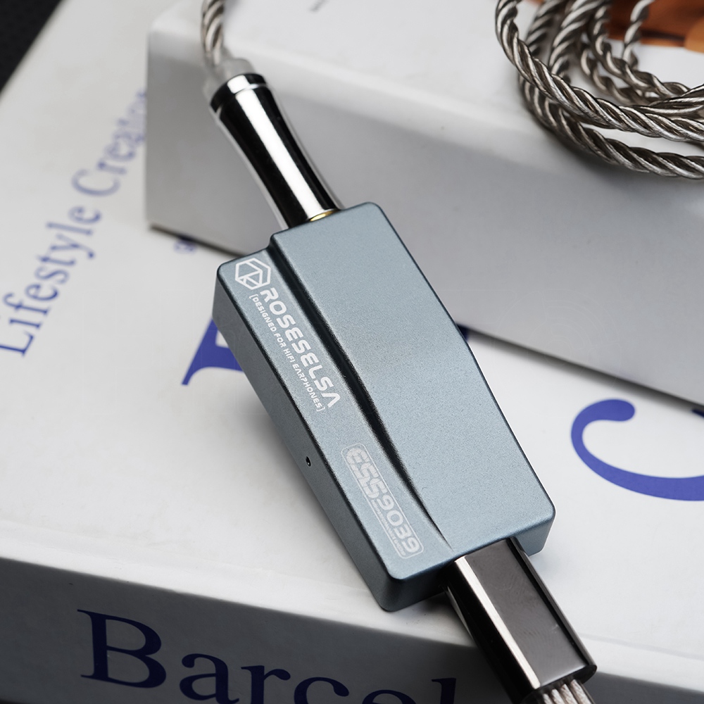 ROSESELSA RS9039 Tragbarer USB – Portable Amplifier Mini Bewertung und Preis