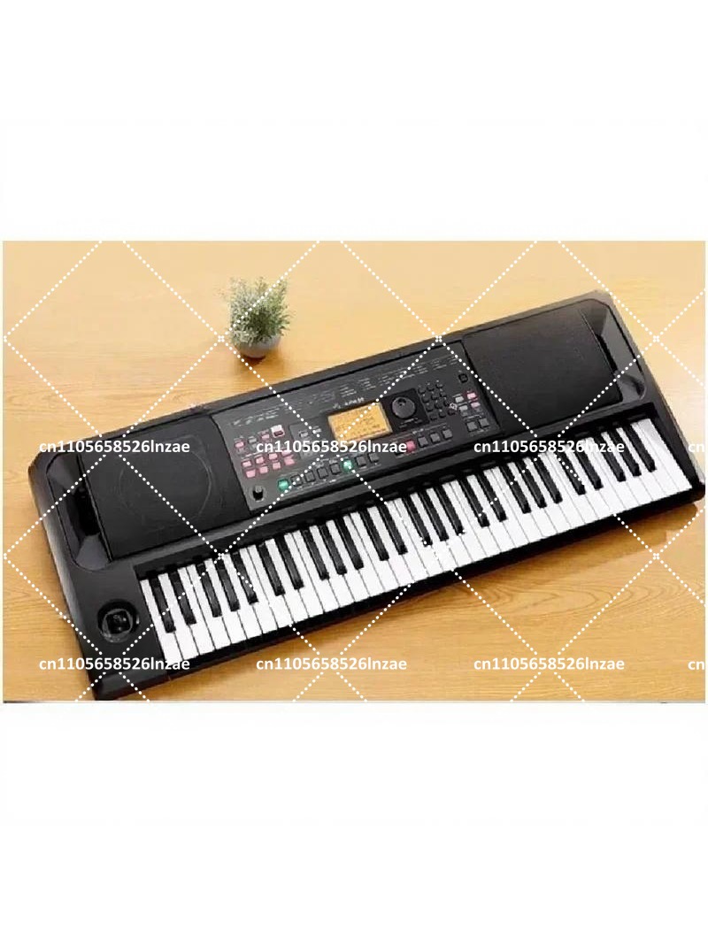 Professionelles Arranger-Keybo – Keyboard Piano 61 Key Bewertung und Preis